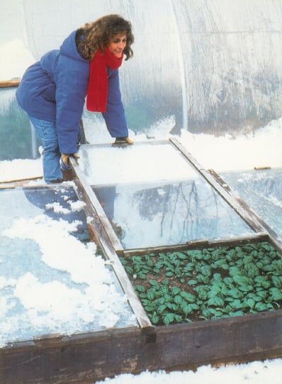 Gardening Tips from Eliot Coleman: How to Start Seedlings in a Cold Frame - Blog