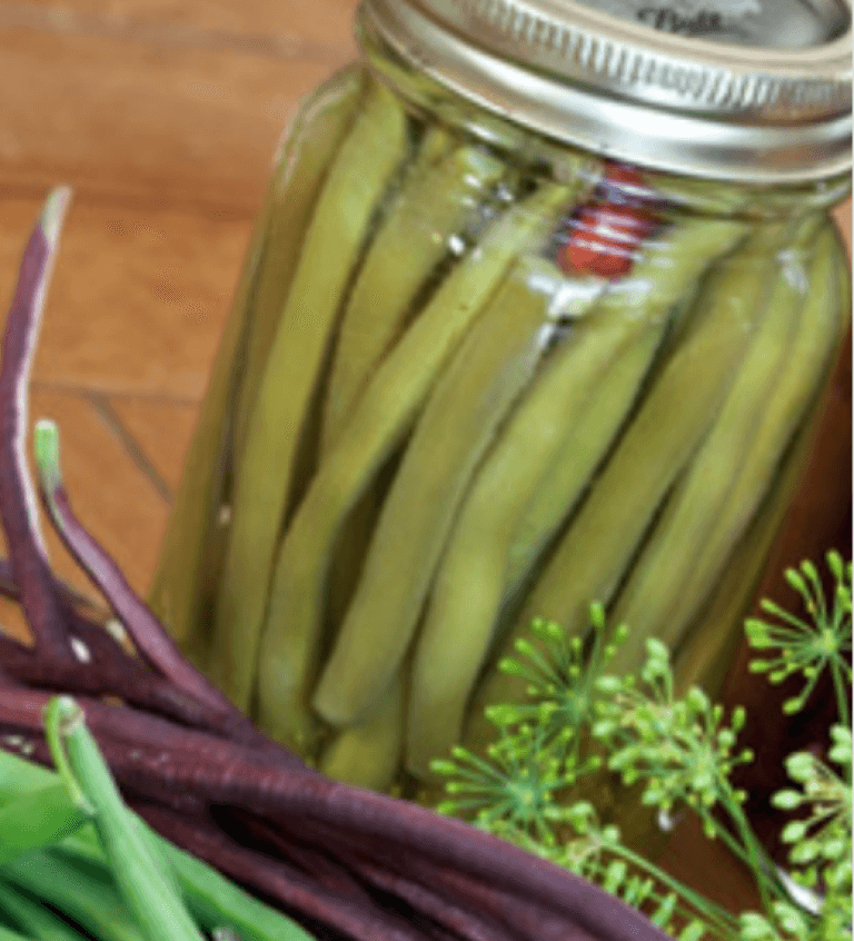 Four Ways To Preserve Your Green Bean Bounty Chelsea Green Publishing