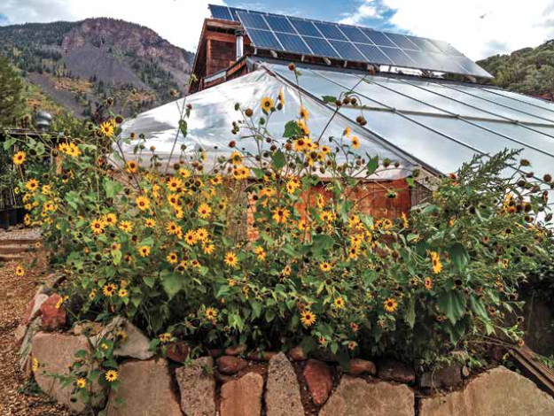 flowers in front of greenhouse