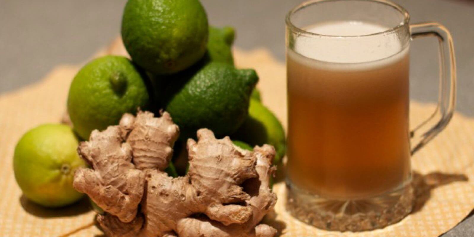 The Old Fashioned Way Homemade Ginger Beer Chelsea Green Publishing