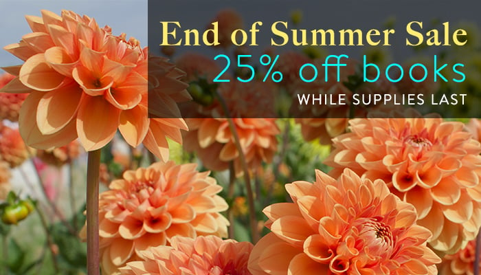 2023_SummerSale_25percent_700-400