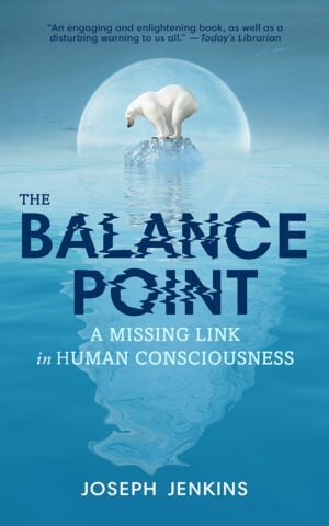 The Balance Point cover