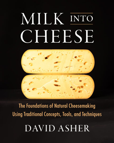 The Milk Into Cheese cover