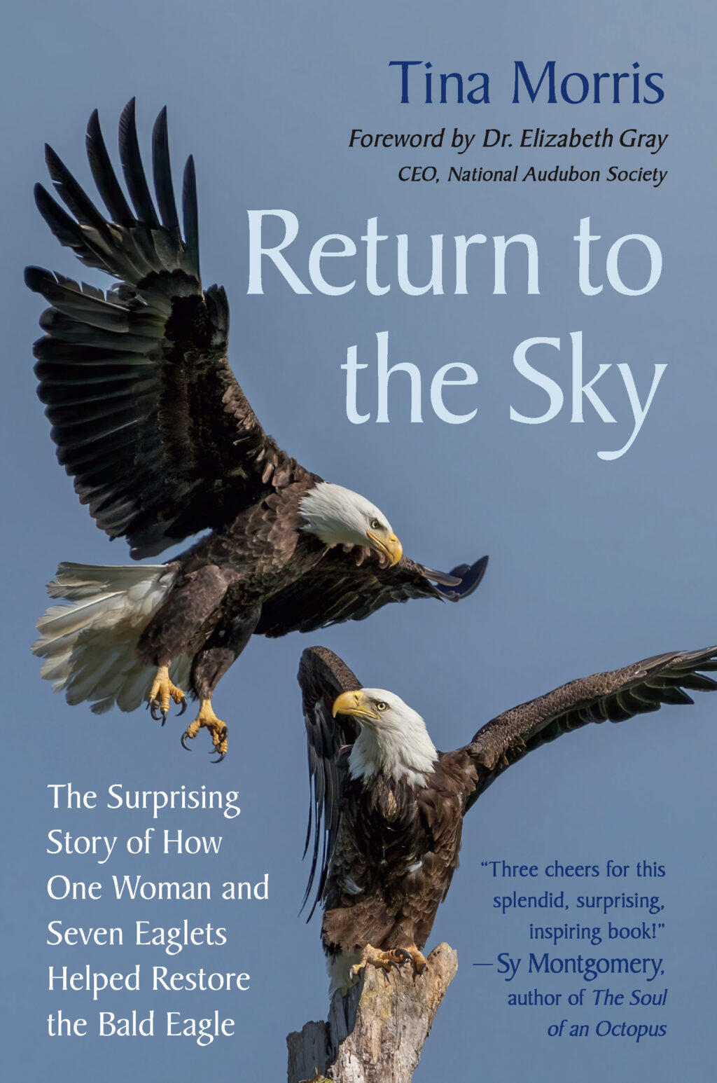 The Return to the Sky cover