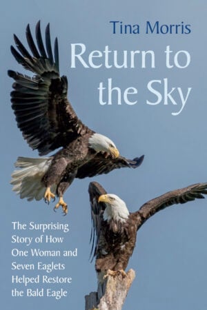 The Return to the Sky cover