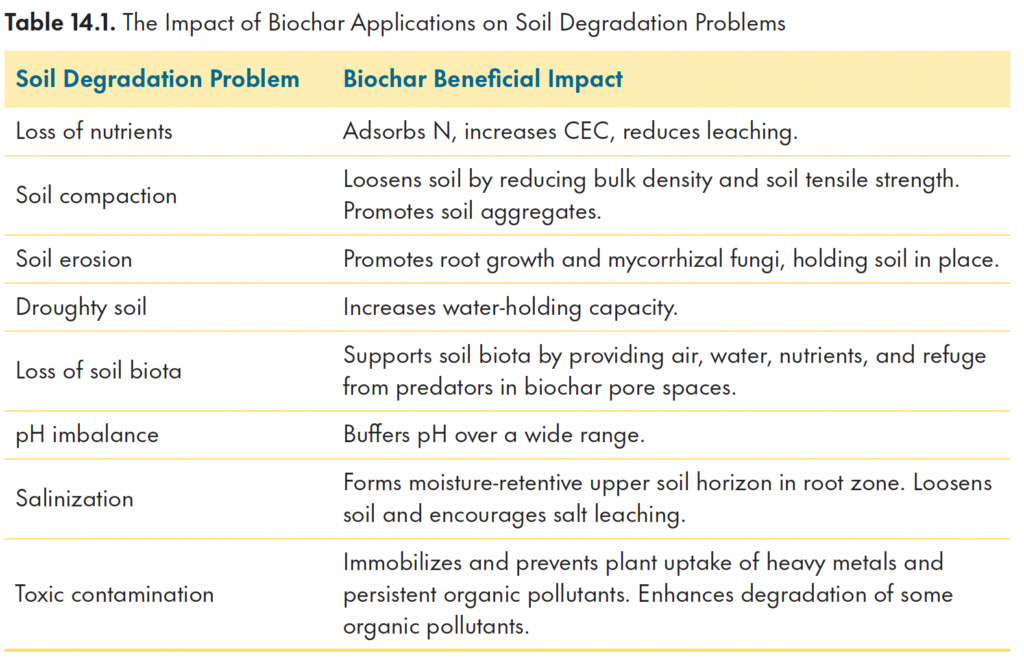 The Impact of Biochar Applications on Soil Degradation Problems