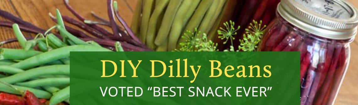 DIYDillyBeans_blog_1140-335