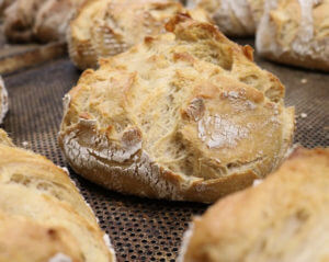 sourdough bread