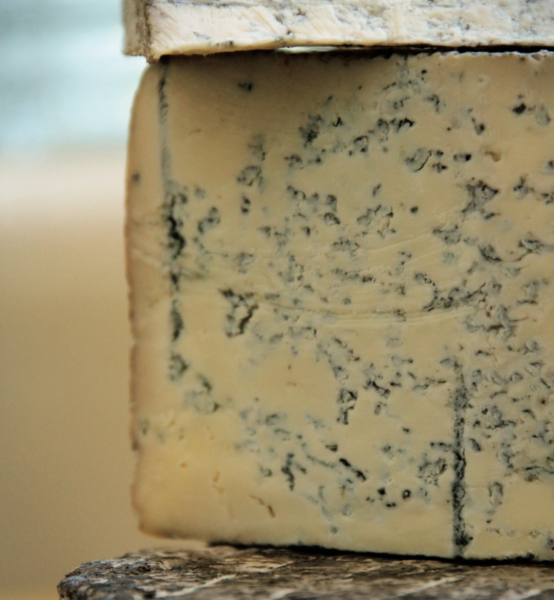 How To Make Blue Cheese | Chelsea Green Publishing