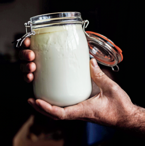 Milk Fermenting