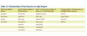 Relationship of Food Species to Light Regime