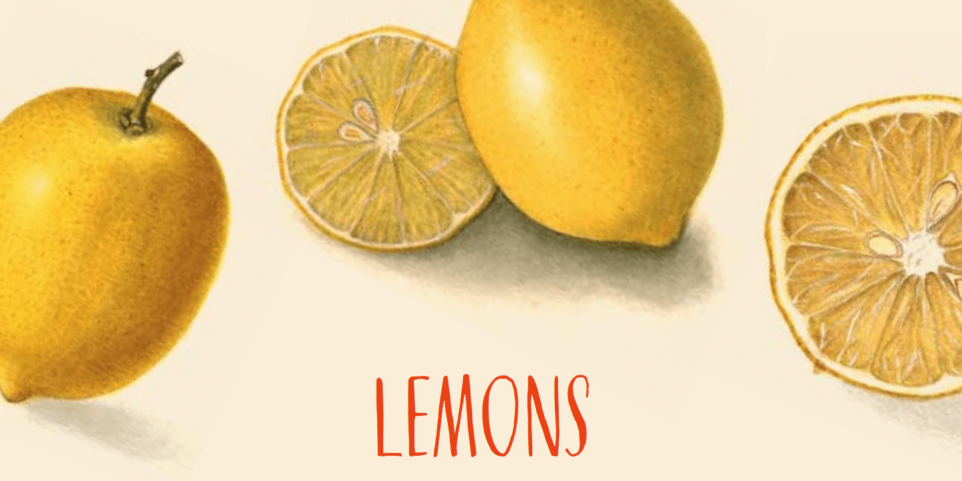 All About Lemons – 88 Acres