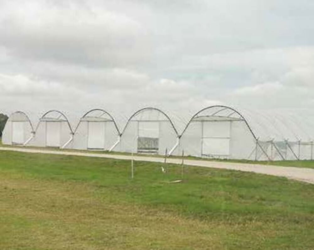 Is Your Greenhouse Winter-prepared? Coping With Snow On Your Greenhouse 